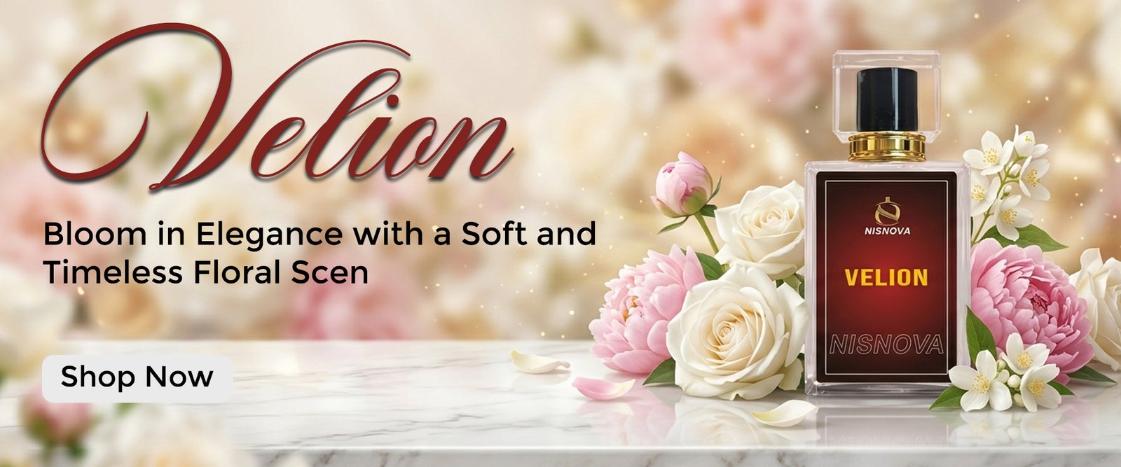 velion banner 1